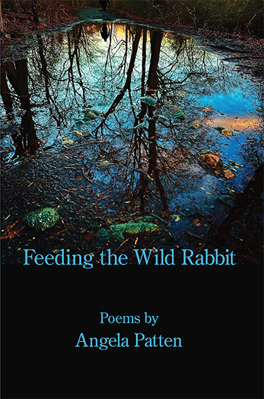 cover of Feeding the Wild Rabbit